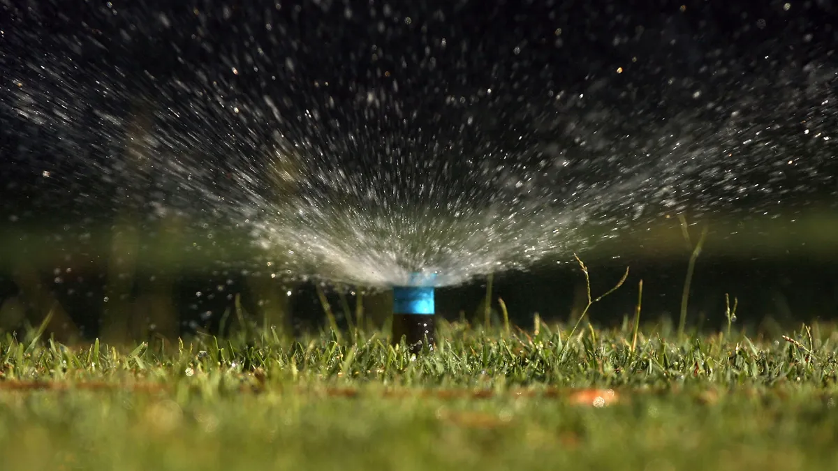 Close-up image of a sprinkler watering a green lawn