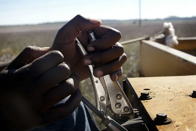 Seward and Son to pay 0K for allegedly preferring non-Americans over Black American workers Seward and Son to pay 0K for allegedly preferring non-Americans over Black American workers