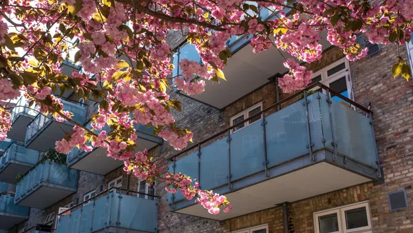 Spring blossoms in front of an apartment building.