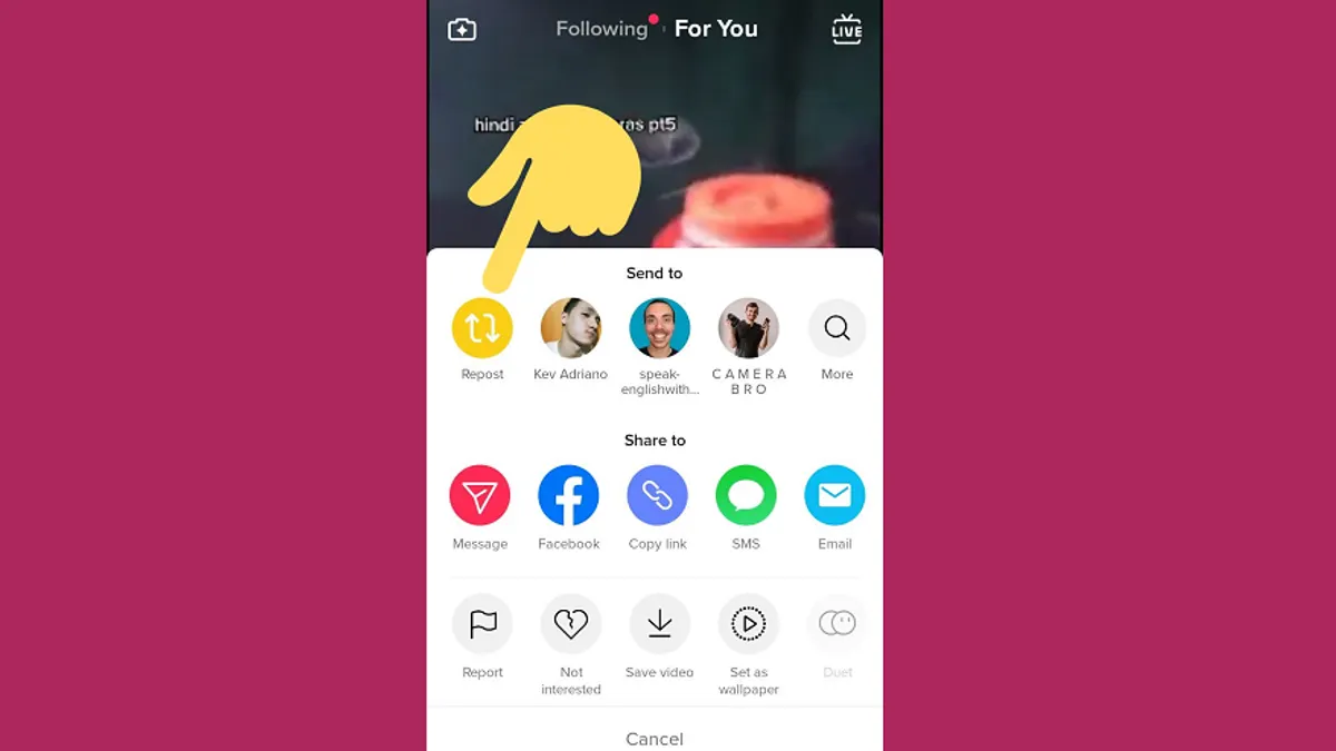 TikTok Repost
