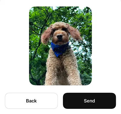Threads images in DMs