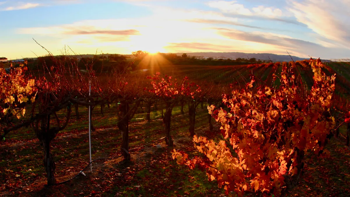 Sunset at Elberle Winery in Templeton, California