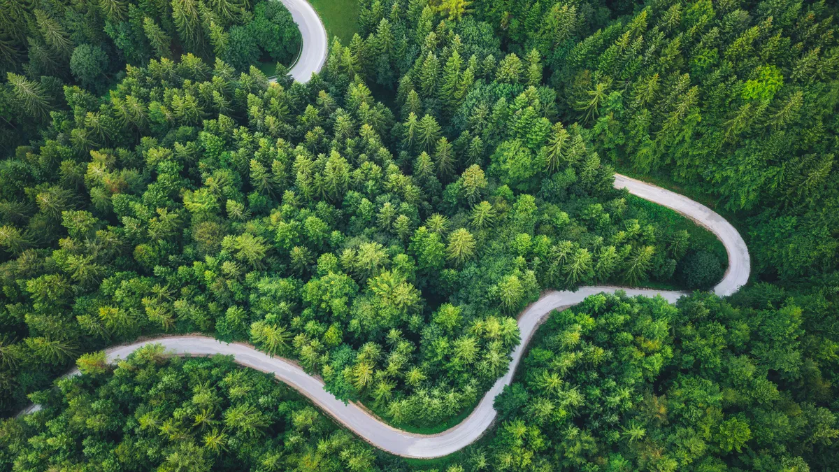 Idyllic winding road through the green pine forest.