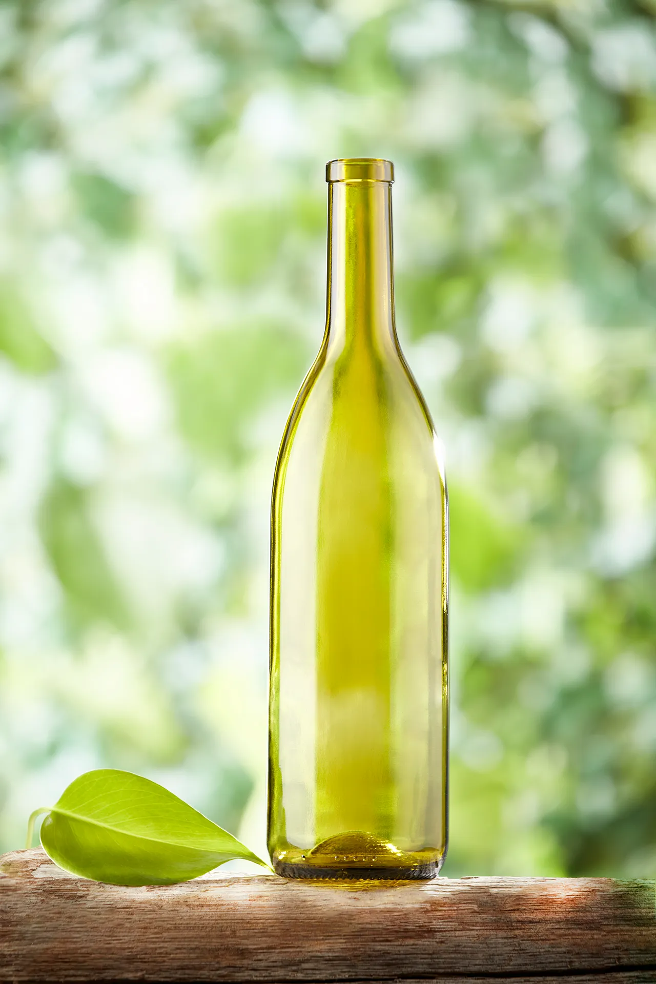 An empty, light green wine bottle next to a green leaf.