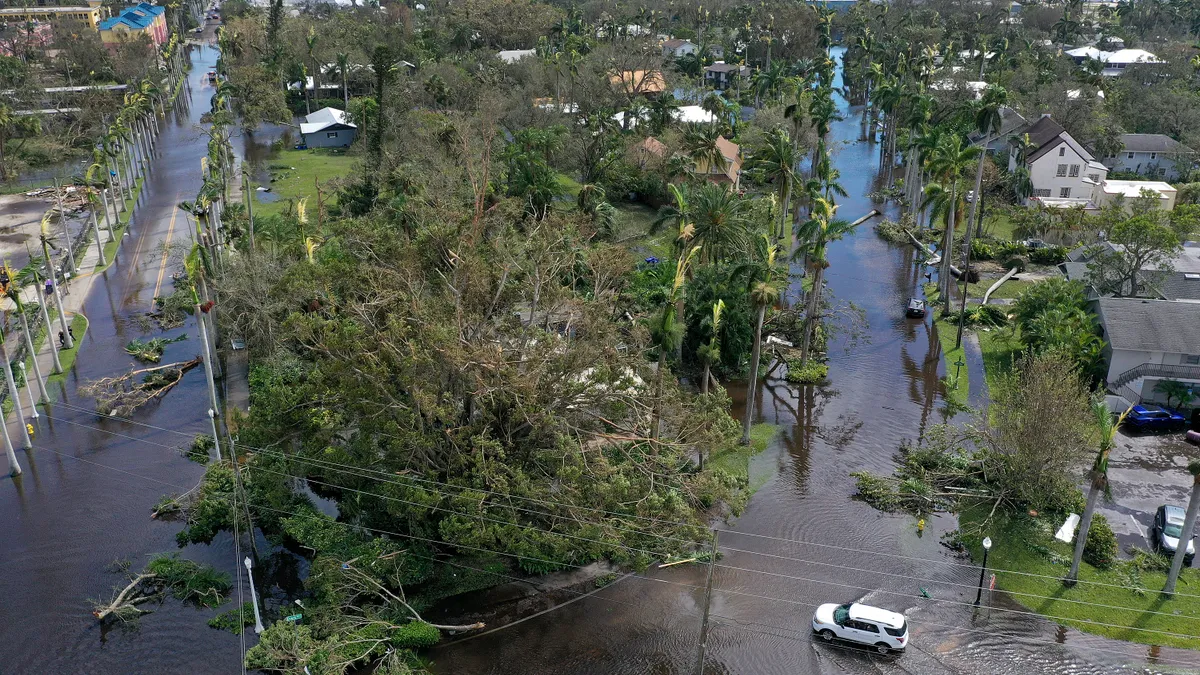 A bird's eye view of cars attempting to navigate flooded streets covered in felled trees.