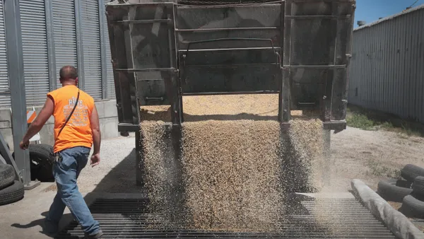 A farmer stands next to a truck unloading a pile of soybeans