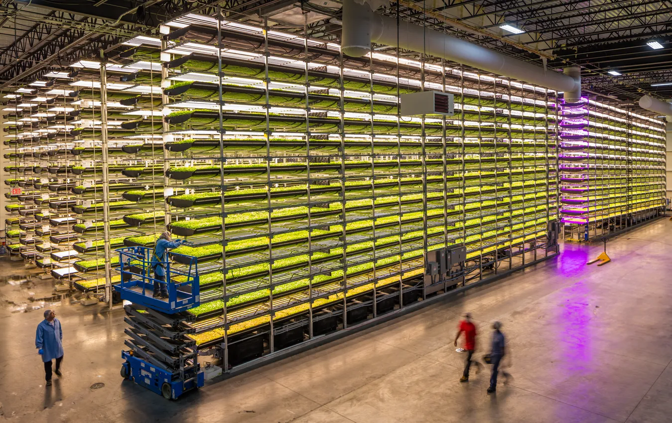 AeroFarms vertical farming