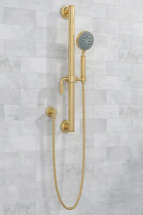 A grab bar and handshower.