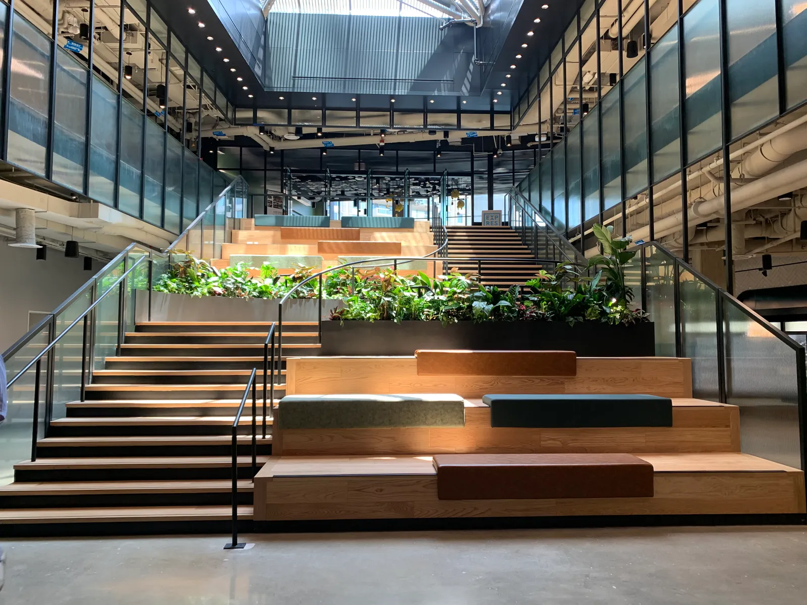 A set of stairs in Amazon's HQ2 building that are caught in good lighting. The stairs are a pleasant brown, and green plants are lining the sides.