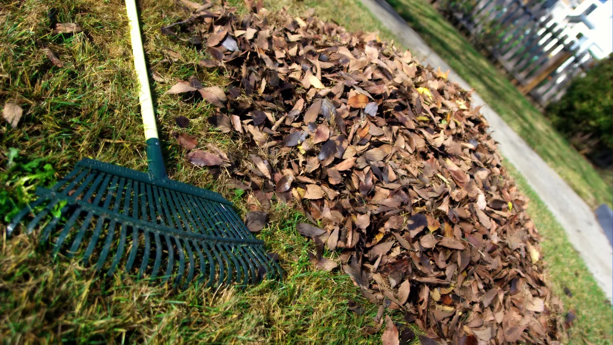 Leaf rake and leaves