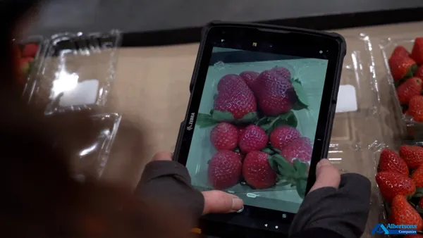 An Albertsons worker holds a tablet showing strawberries being inspected by the grocers' new AI inspection tool