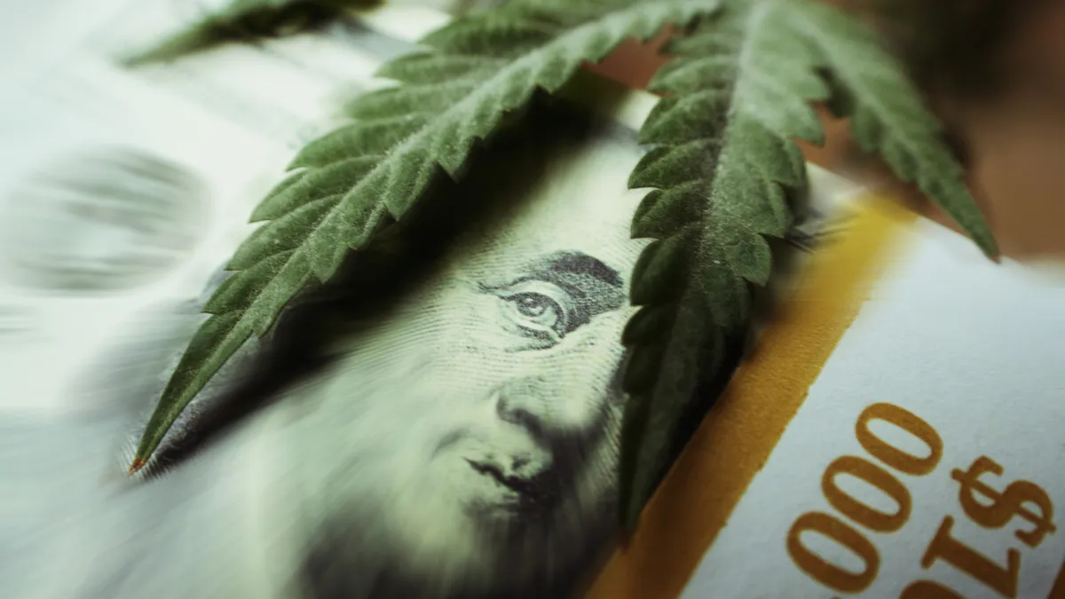 A marijuana leaf lays over a $100 bill