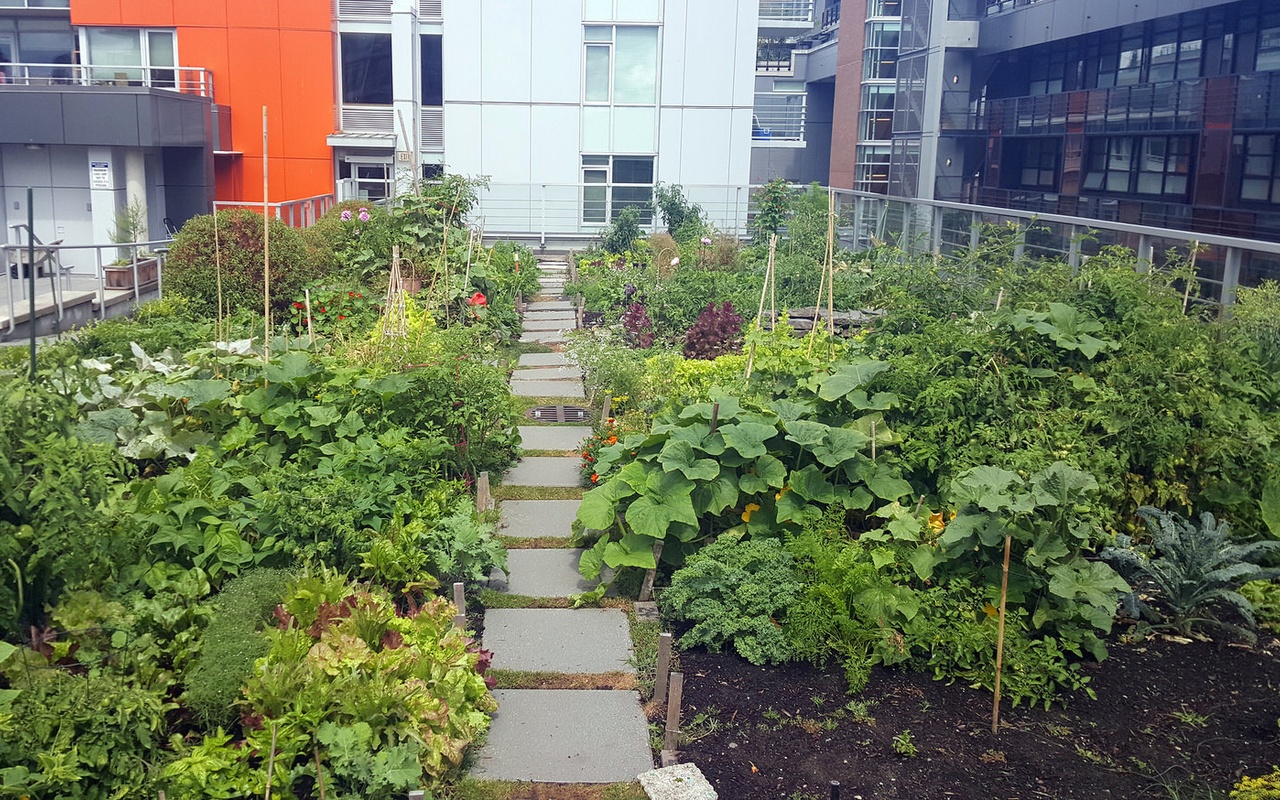 rooftop garden at rouses supermarkets