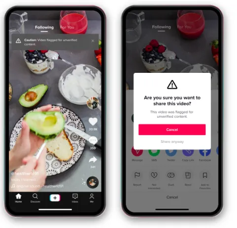 TikTok Election Center