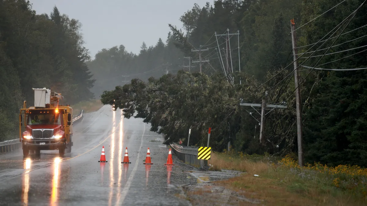 A pine tree lays on power lines after it was knocked over due to Post-Tropical Cyclone Lee on September 16, 2023 in Eastport, Maine.