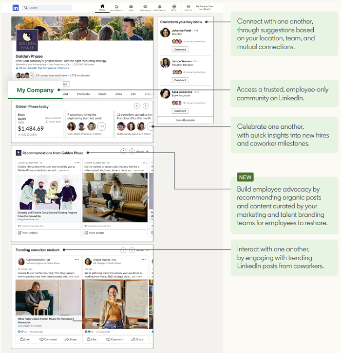 LinkedIn My Company tab