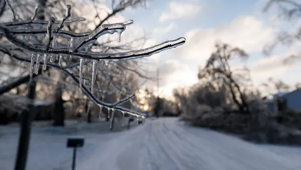 A branch covered in ice is seen in a close-up view. A snow covered street is seen in the background