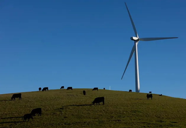 Solar and wind PPA prices up 9% in 2025, set to continue rising with energy demand