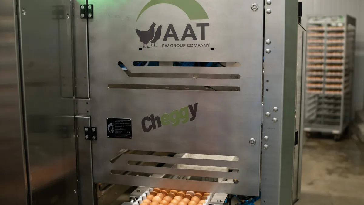 Eggs are seen prior to being sorted by a Cheggy machine