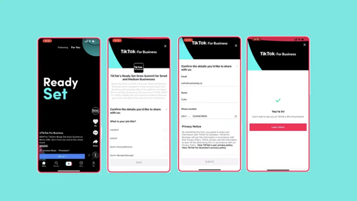 TikTok Lead Gen Forms