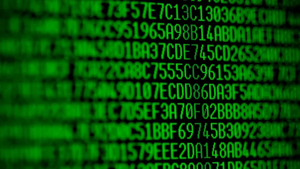 Random hexadecimal codes displayed in green type on a black on a computer screen.