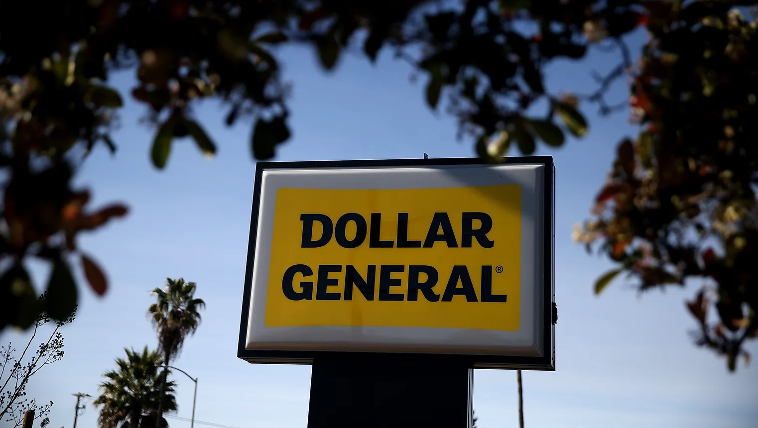 A yellow and black &quot;Dollar General&quot; sign framed by leaves.