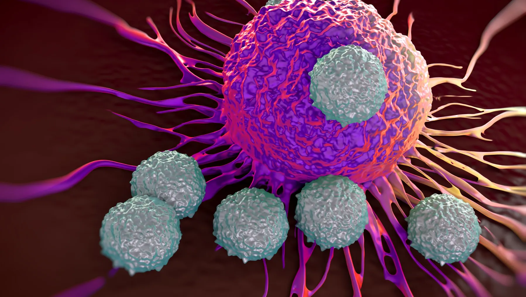 An illustration of T cells attacking a cancer cell