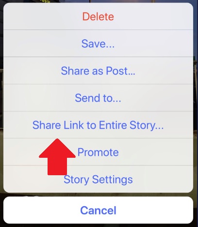 Instagram Stories share option