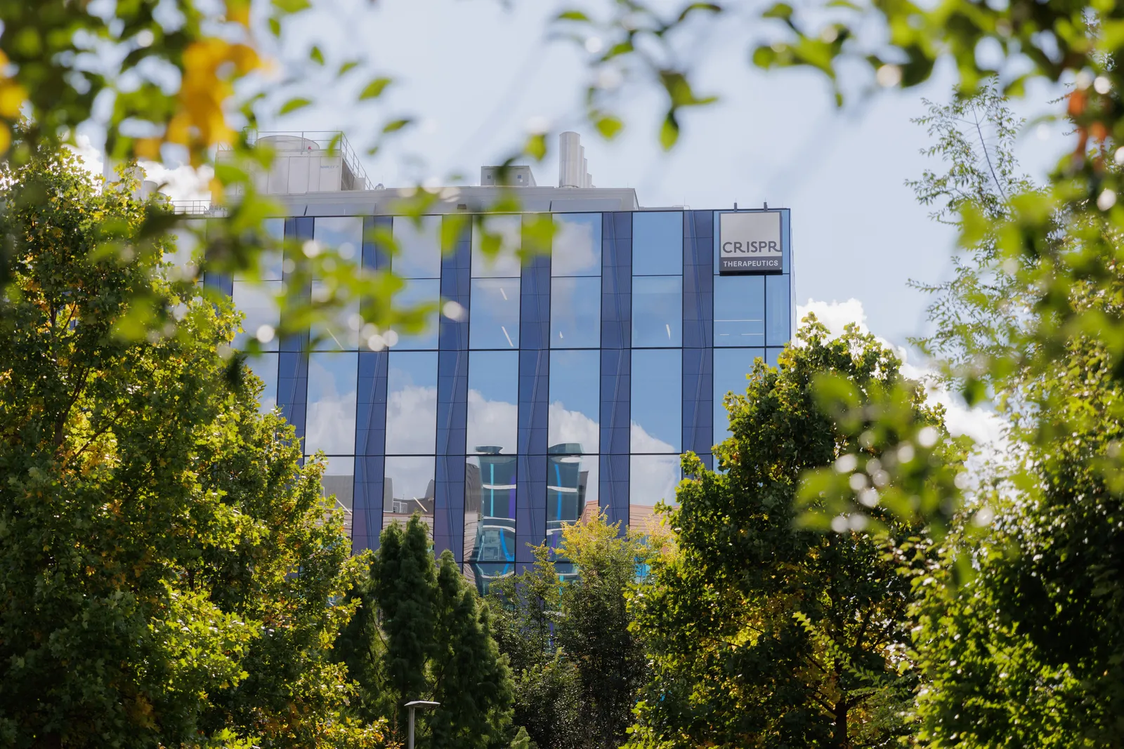 A CRISPR Therapeutics sign is seen on the side of a building viewed through trees.