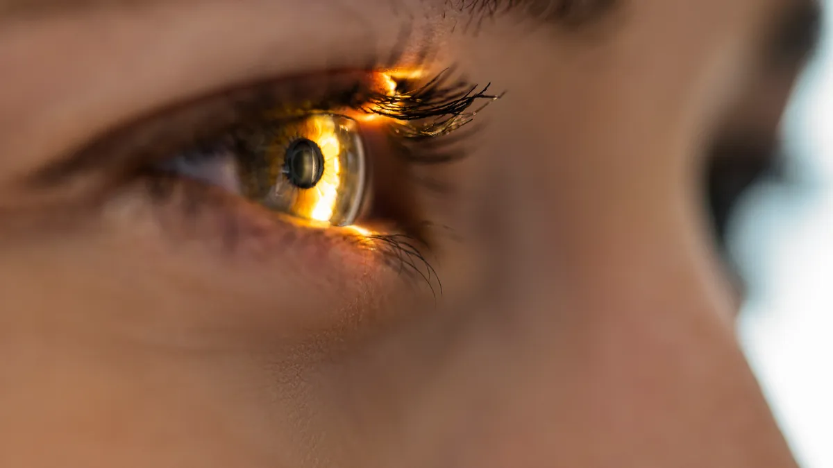 A closeup of an eye with light reflecting off of it.