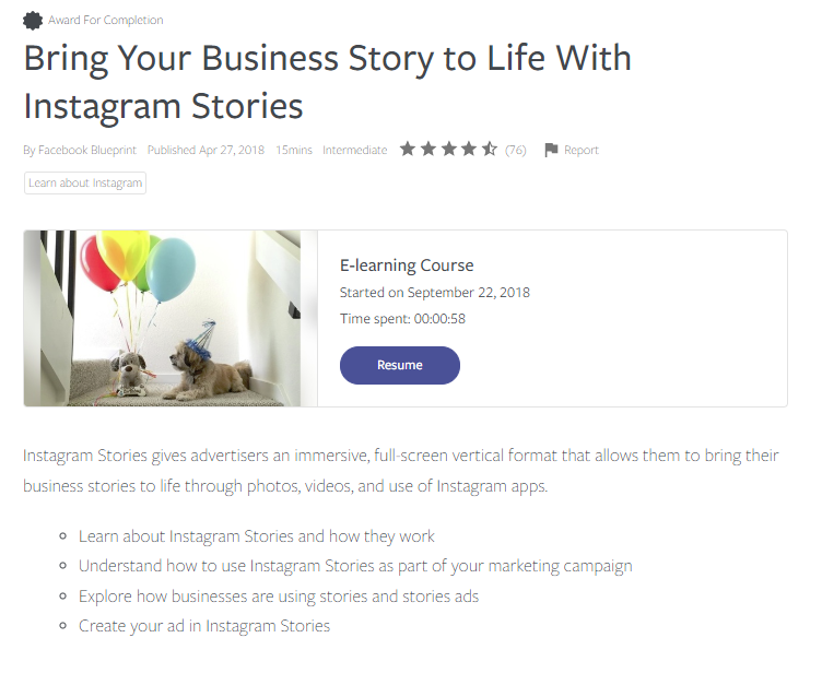 A screenshot of the Instagram Stories course overview