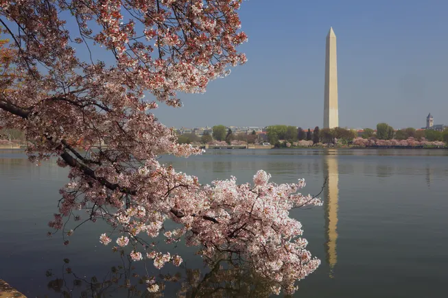 Virginia lender to acquire Forbright’s DC-area branches