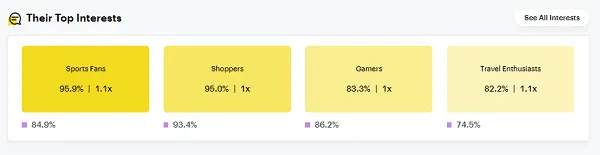 Snapchat Audience Insights