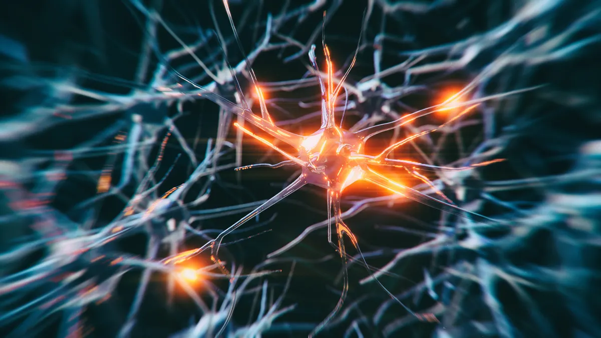 A 3D rendered image of a neuron cell network on black background.