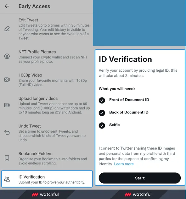 Twitter Blue verification