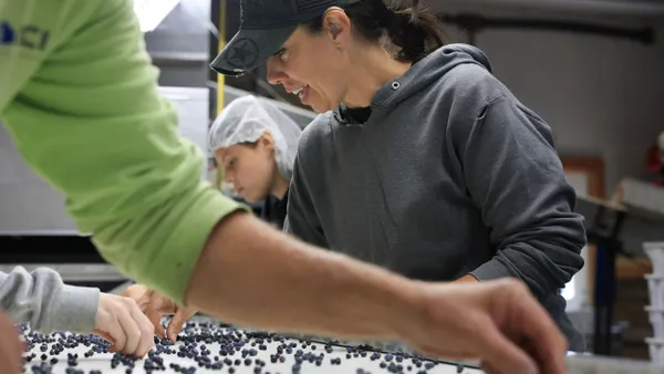 A person smiles while sorting blueberries as part of a team.