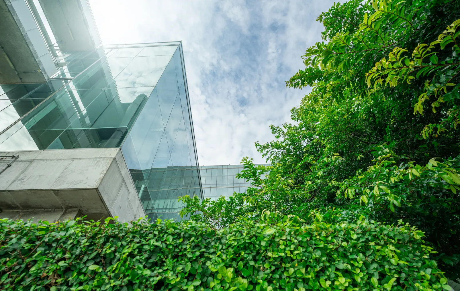 A modern office with glass windows looking over a green outdoor courtyard.