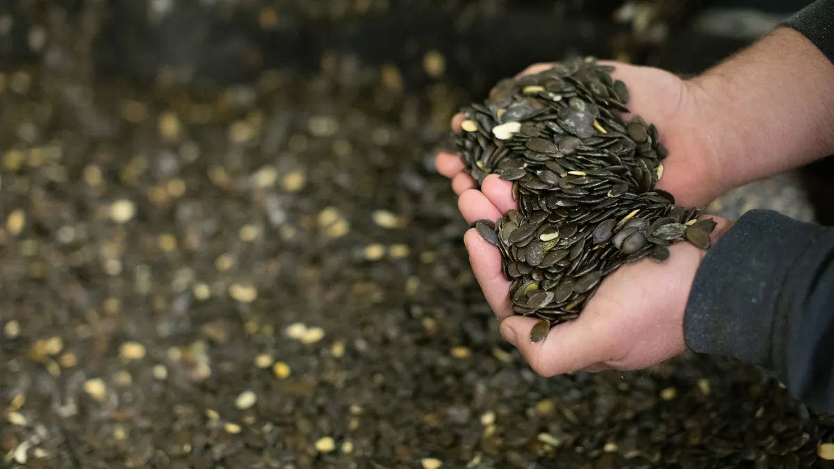 Pepitas sourced from Styrian pumpkins