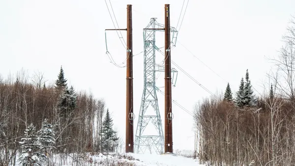 A transmission line runs through snowy woods.