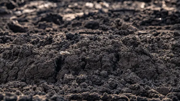 A pile of dirt-like substance.