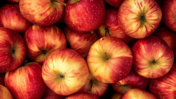 Basket of apples