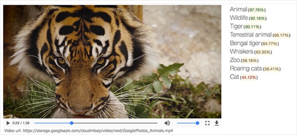 Google video item tags
