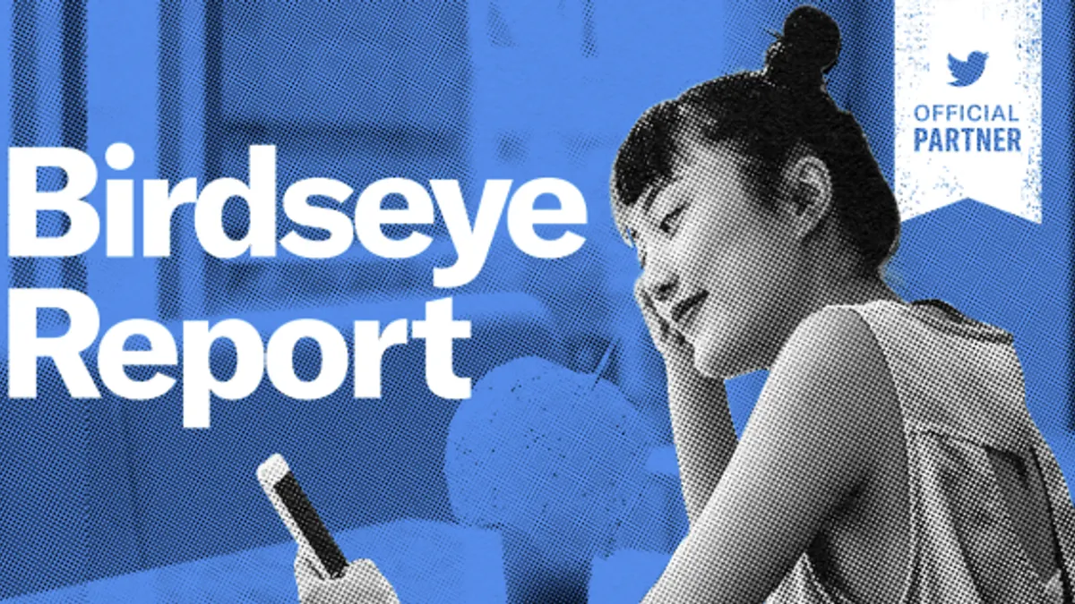 Twitter Birdseye Report