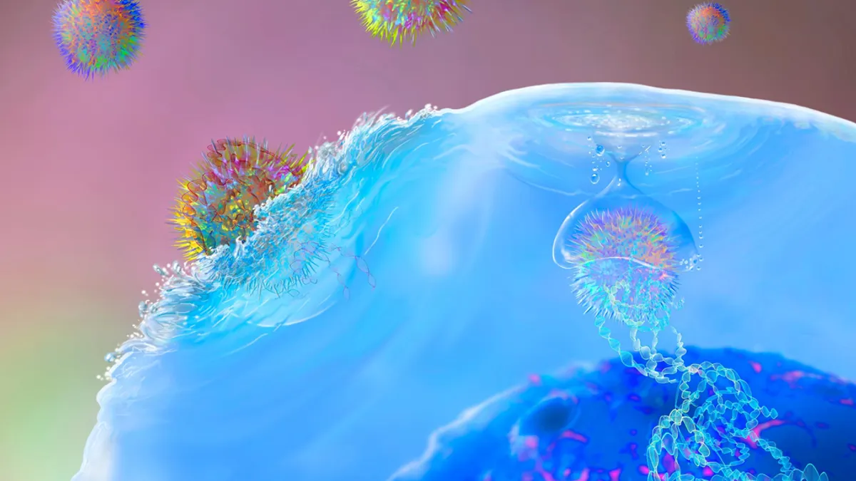 a virus or nanoparticle interacting with a cell.