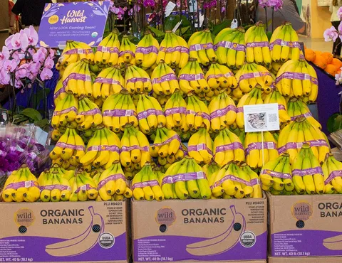 Bunches of bananas in cardboard boxes labeling them as organic.