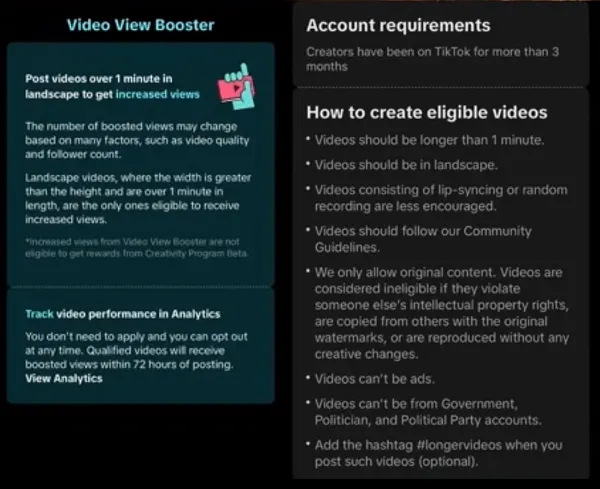 TikTok Video View Booster