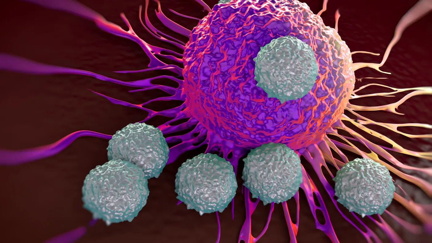 An illustration of T cells attacking a cancer cell