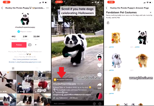 TikTok eCommerce links