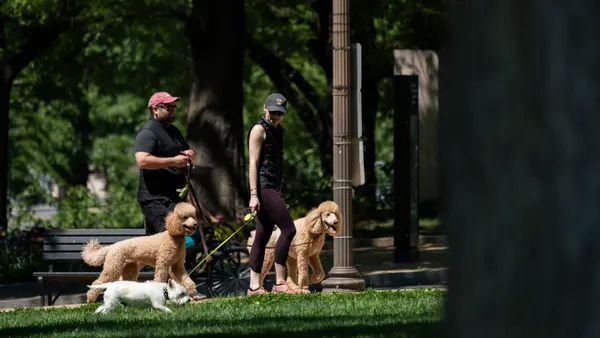 People walk dogs on the National Mall in Washington, DC.