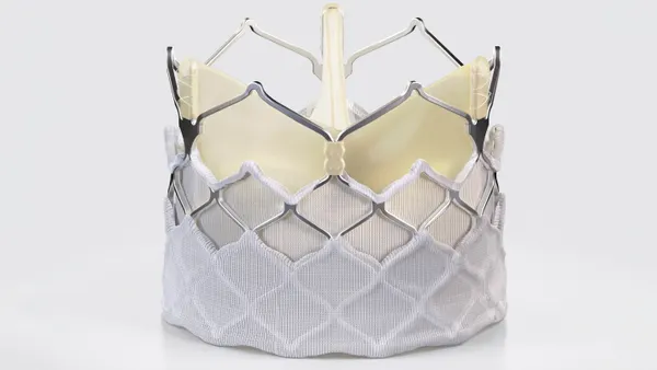 An artificial heart valve is pictured against a white background.